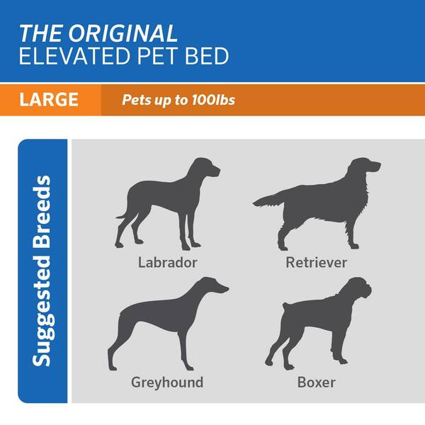 raised dog bed pets at home