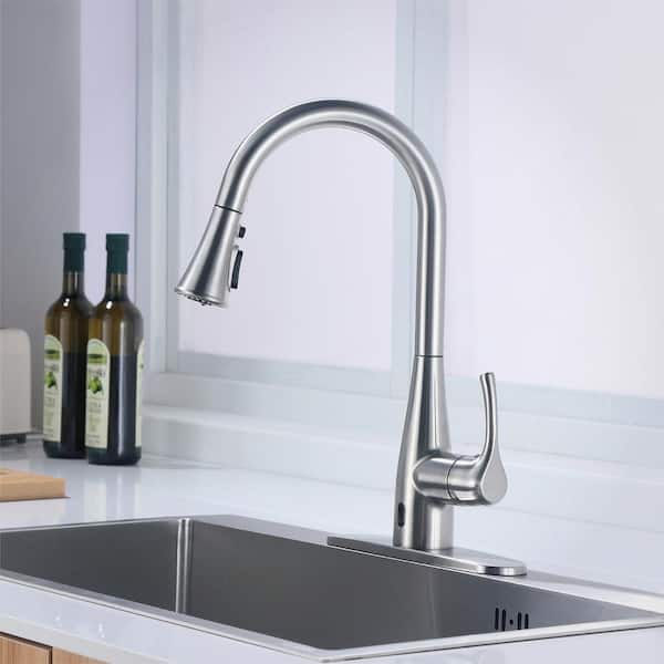 Marcie Single-Handle Integrated Pull Down Touchless Kitchen Faucet in Stainless Steel