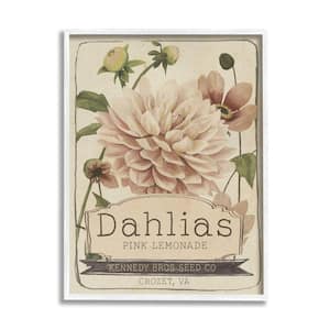 Pink Lemonade Dahlias Vintage Floral Seed Packet By Studio W Framed Print Nature Texturized Art 11 in. x 14 in.