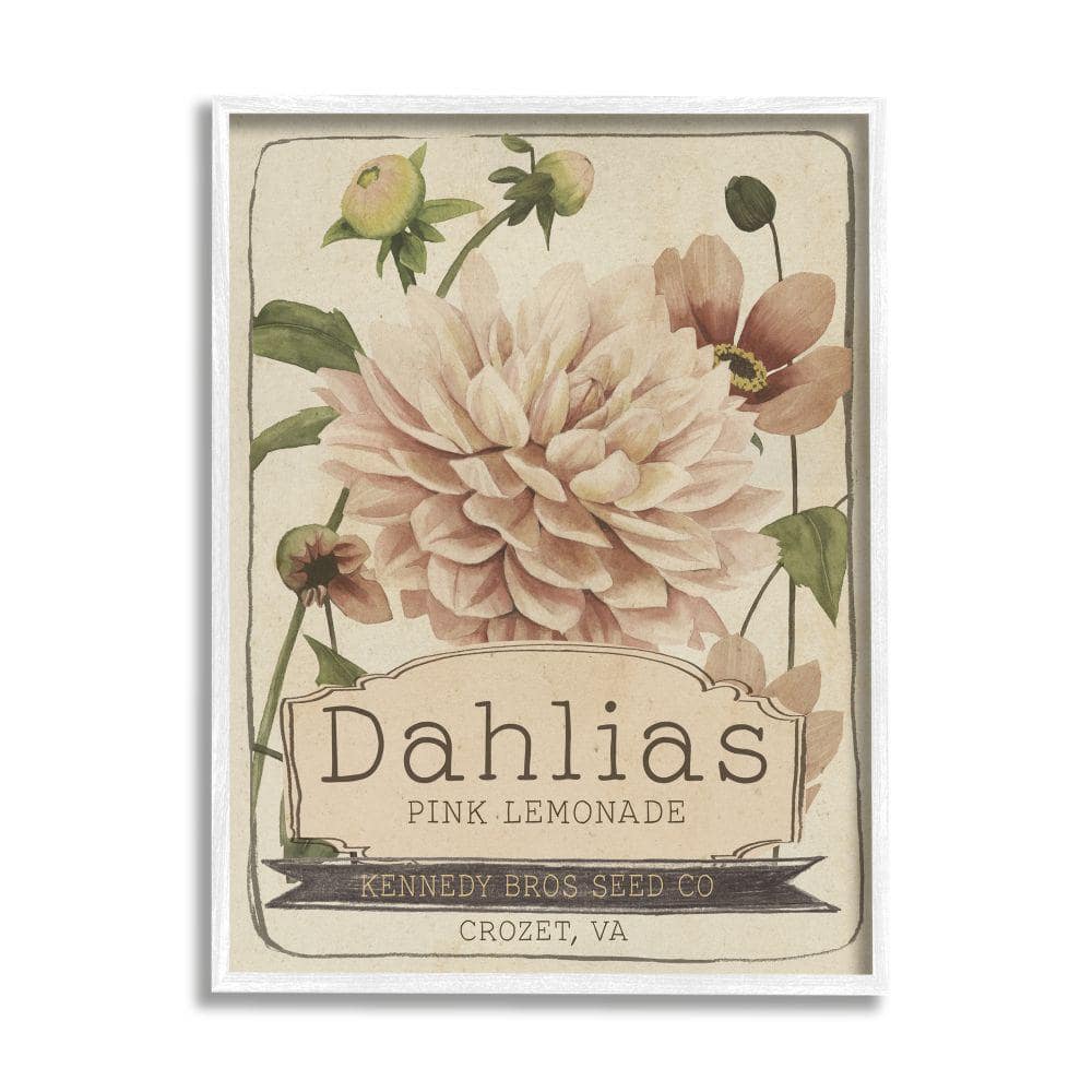 Stupell Industries Pink Lemonade Dahlias Vintage Floral Seed Packet By Studio W Framed Print Nature Texturized Art 24 in. x 30 in., Tan -  af-465_wfr24x30