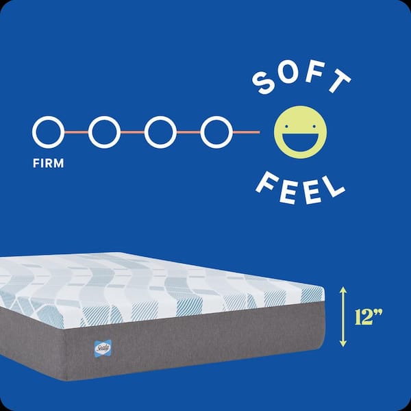 Dreamlife Queen Soft Memory Foam 12 in. Bed-in-a-Box Mattress