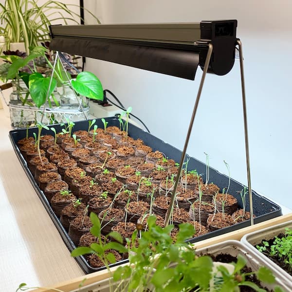 SYEIORAOM LED Grow Light - Six Adjustable Gooseneck Heads, Full Spectrum  for Indoor Plants, Seed Starting (Six-Head Grow Light)