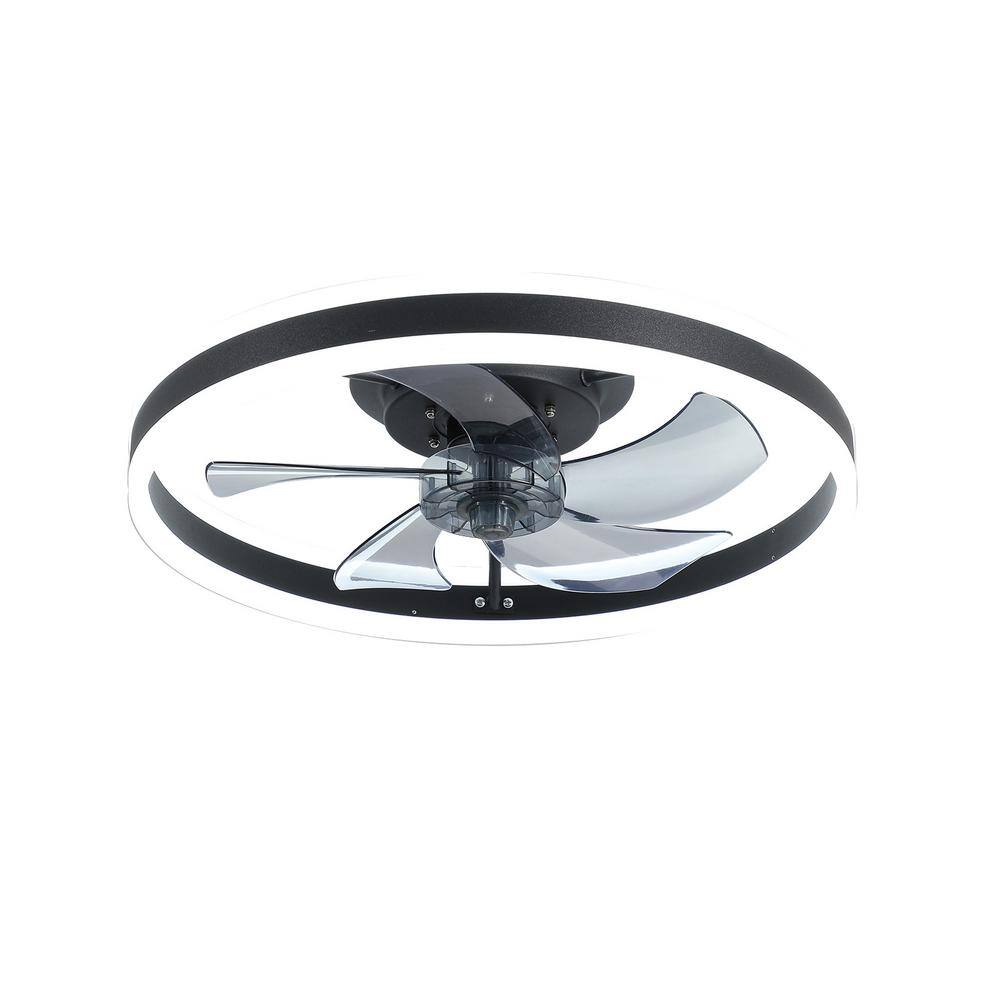 CIPACHO 19.67 in. LED Indoor Black Smart Ceiling Fan with Remote and 5  Blades TB-W1340103783 - The Home Depot