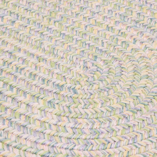 Dessi Pastel Multi 4 ft. x 6 ft. Oval Braided Indoor/Outdoor Patio Area Rug