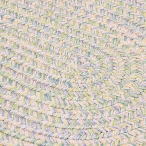 Dessi Pastel Multi 10 ft. x 13 ft. Oval Braided Indoor/Outdoor Patio Area Rug