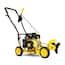 https://images.thdstatic.com/productImages/085faee9-8bf8-4cad-903a-366b4dc02495/svn/champion-power-equipment-gas-edgers-100731-64_65.jpg