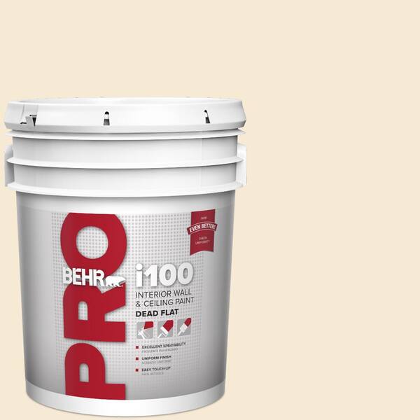 5 gal. #HDC-AC-11 Clean Canvas Dead Flat Interior Paint