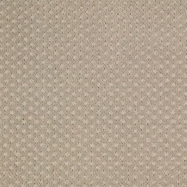 Lifeproof with Petproof Technology Transcends Time Twine Beige 39 oz. Triexta Pattern Installed Carpet