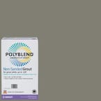 Polyblend #165 Delorean Gray 10 lb. Unsanded Grout