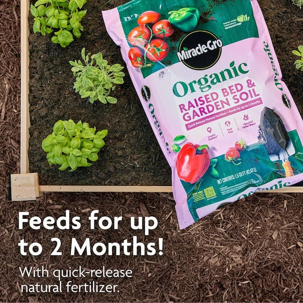  Elevate Your Nolina with Gardenera's Organic Soil Blend -  Cultivate Healthier and More Unique Form - 1 Quart : Patio, Lawn & Garden