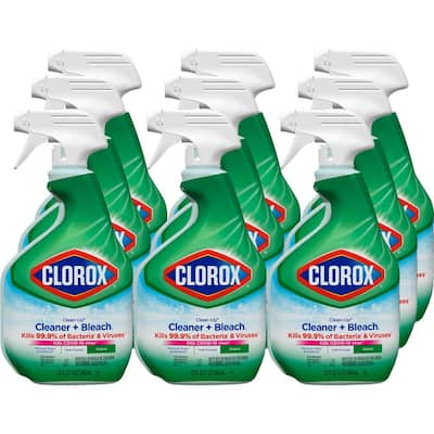 Clorox Cleaning Supplies