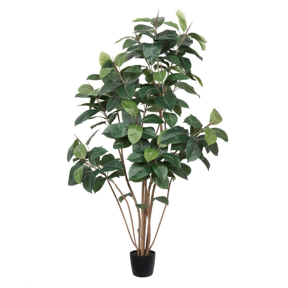 Vickerman 6 ft. Green Artificial Rubber Tree in Pot TB170772 - The Home  Depot