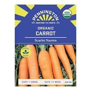 Organic Carrot Scarlet Nantes Vegetable Seed
