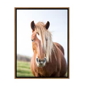 Wild Horse Framed Canvas Wall Art - 24 in. x 32 in. Size, by Kelly Merkur 1 -piece Natural Frame
