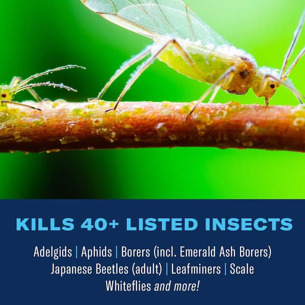 BIOADVANCED 32 oz. Concentrate Tree and Shrub Protect with Feed