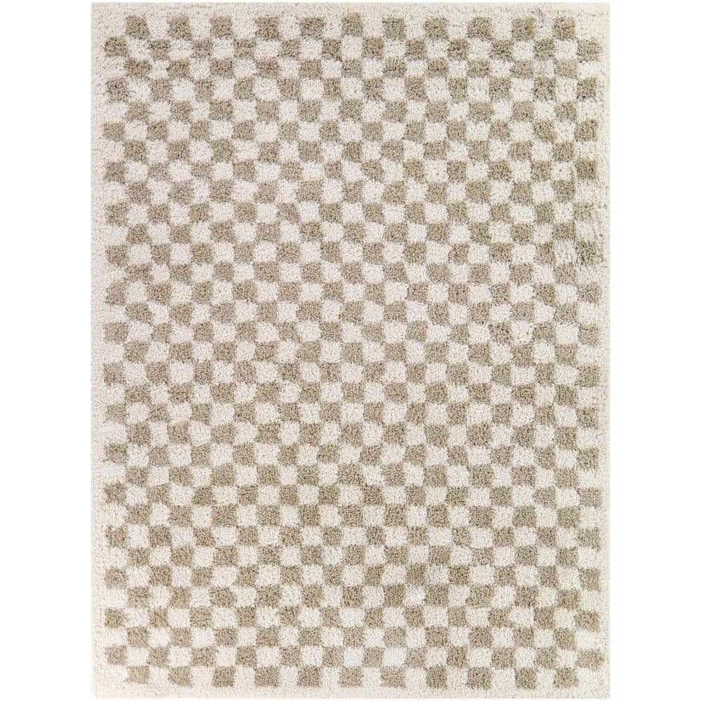 Covey Beige 4 ft. x 6 ft. Checkered Shag Area Rug price history on PriceWatchPro