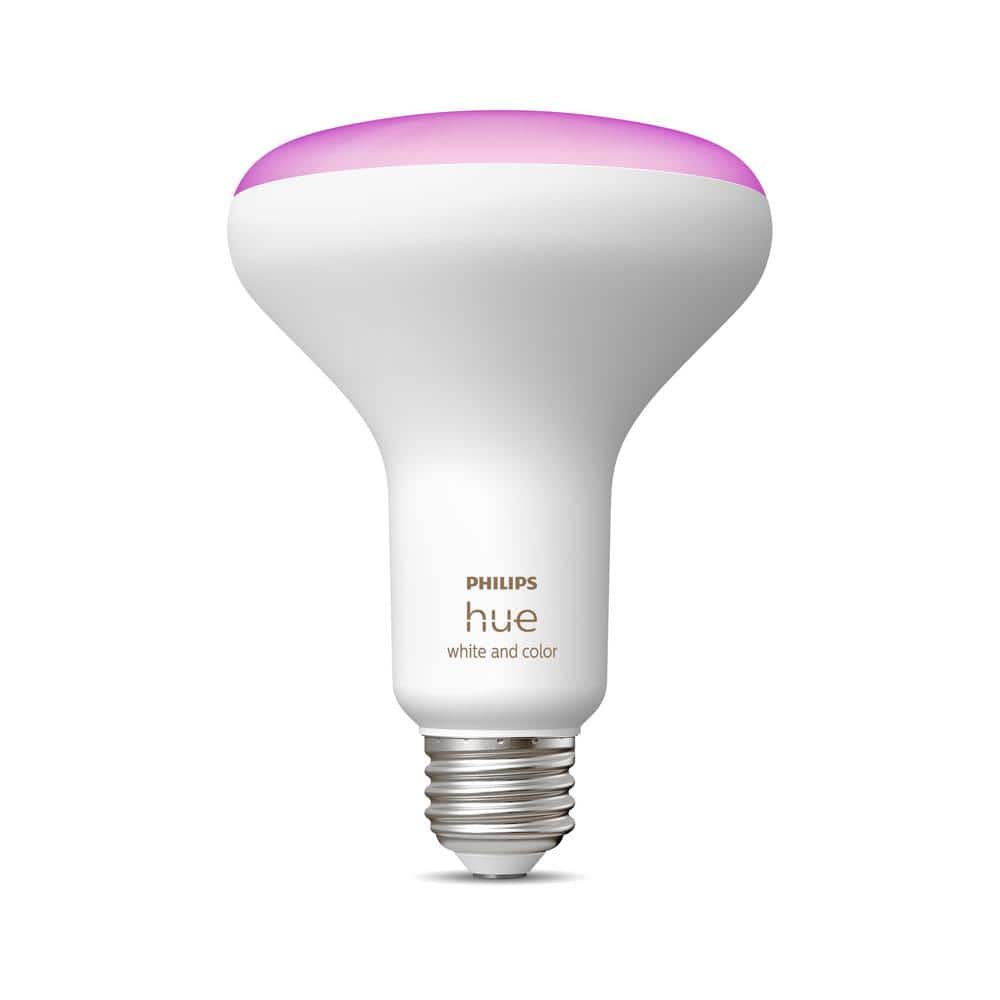 Accent Light Fixture for Phillips Hue GU10 LED Smart Bulb by