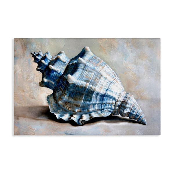 Stupell Industries Classic Ocean Conch by Petal Prints Design Unframed Animal Graphic Art Print 20 in. x 30 in.