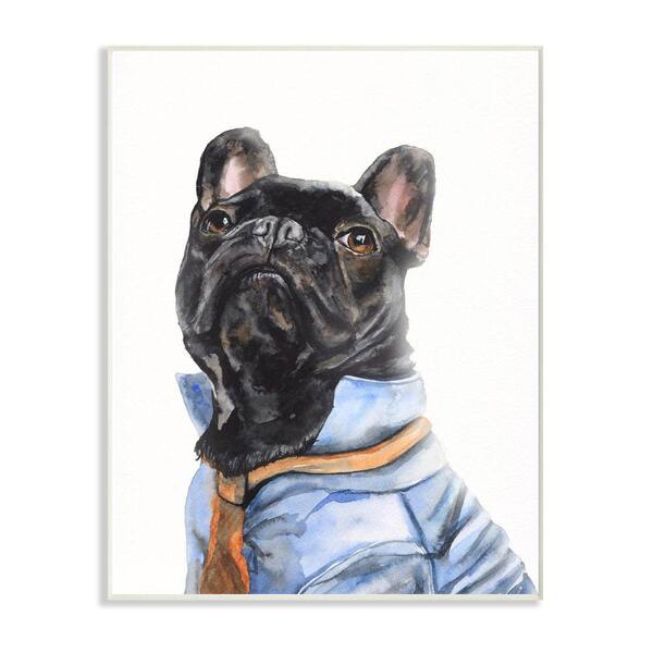 french bulldog fashion