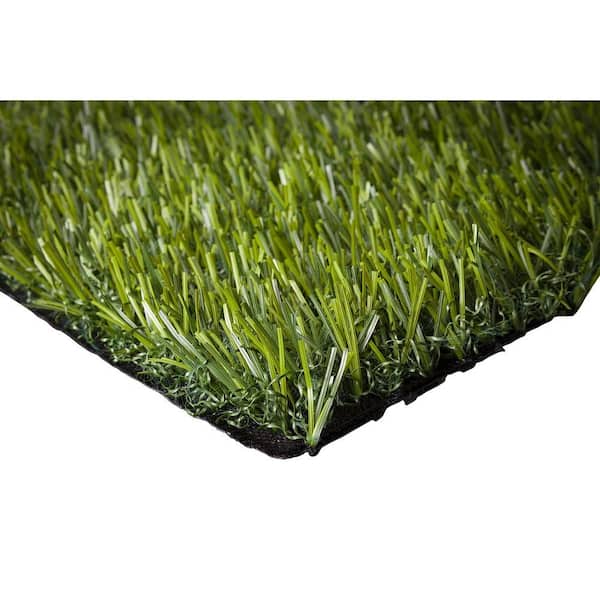 Unbranded 5 ft. x 7 ft. Classic Green Artificial Grass Rug