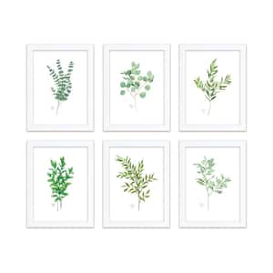 "Nature's Lace 1" by Alyssa Lewis Set of Six White Framed Nature Art Prints 20 in. x 16 in.