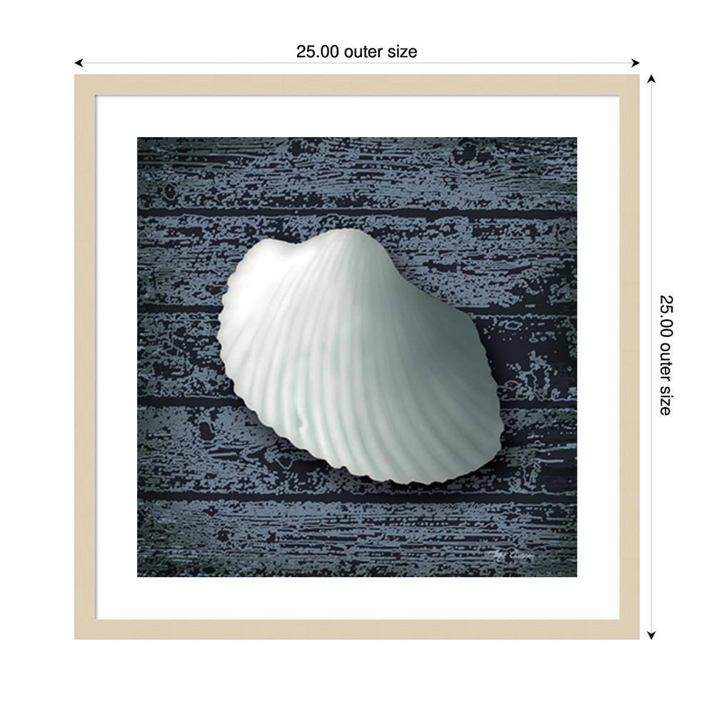 Seashore Shells Navy I Coastal Framed Wall Art Print