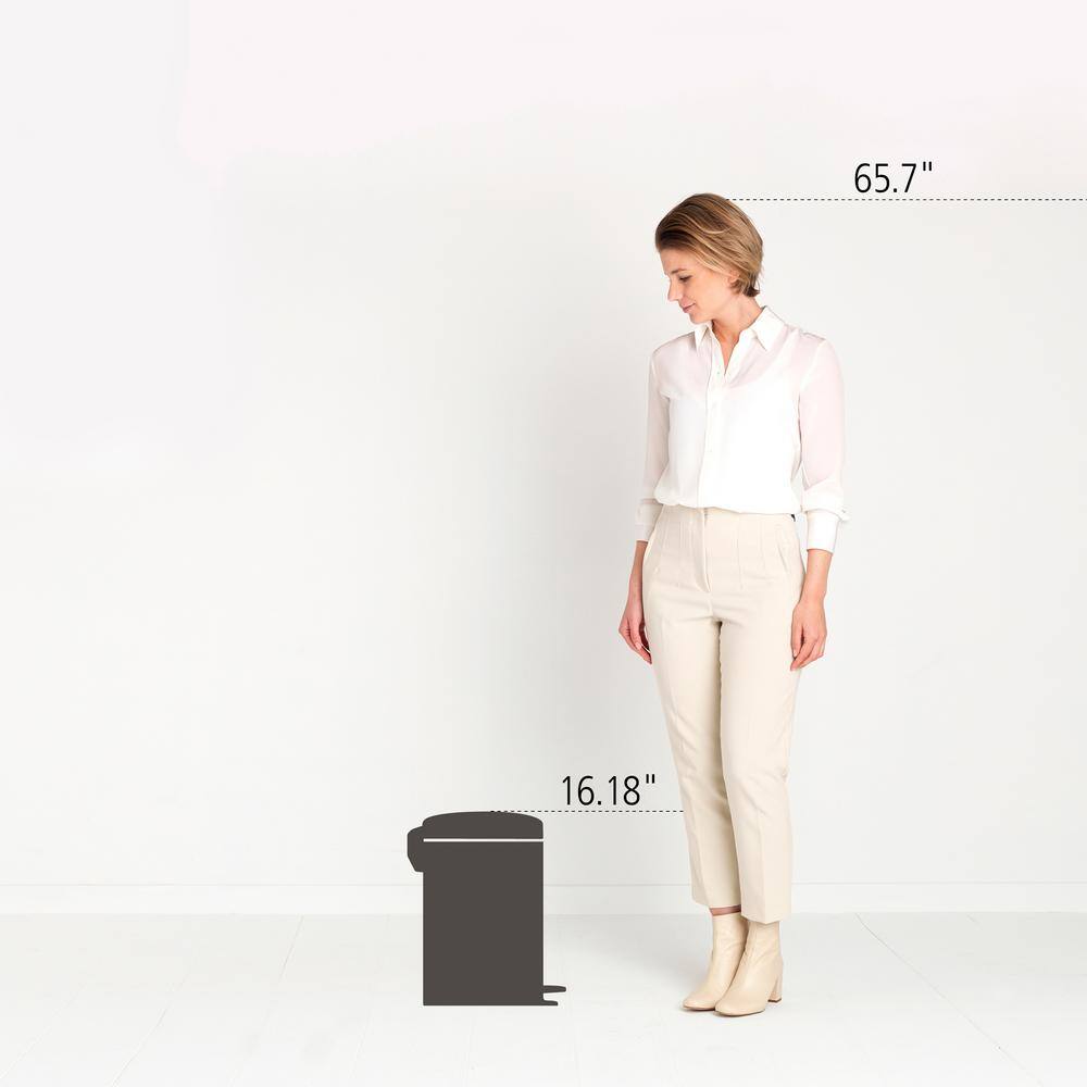 Matte Black Steel Step-On Trash Can with Soft Closure Lid