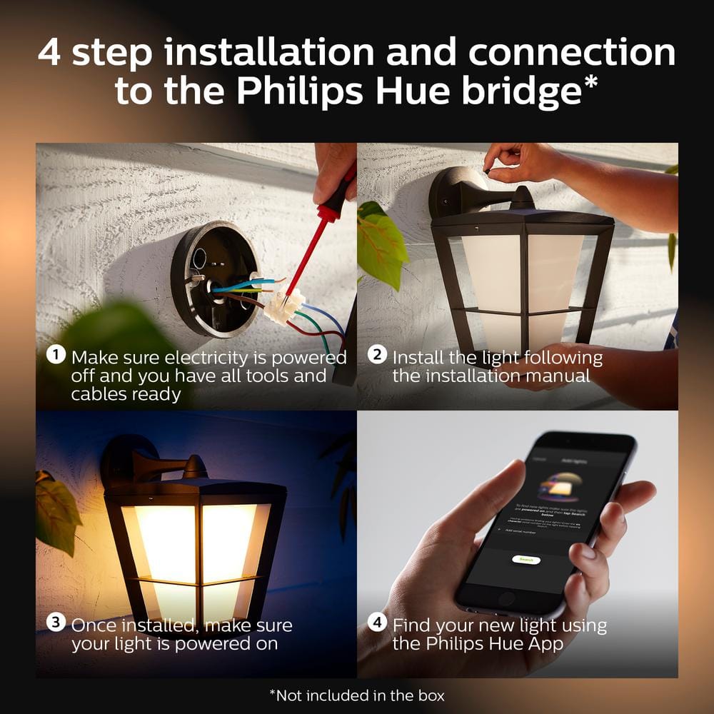 Black Metal and Glass Outdoor Smart Wall Lantern with LED