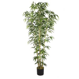 36 in. x 36 in. x 72 in. H Natural Bamboo Tree