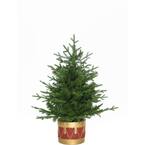 3 ft. Andirondack Potted Christmas Tree