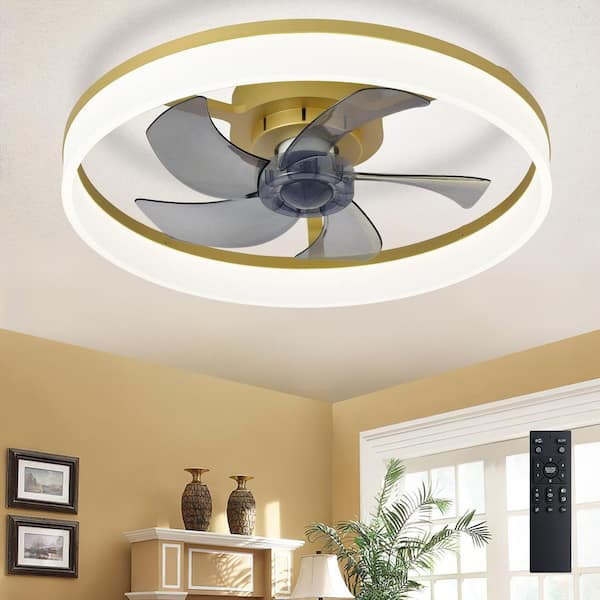 20 in. Gold Small Fan Flush Mount Caged Modern Ceiling Fan Light for Bedroom Indoor Included APP Remote DC Motor