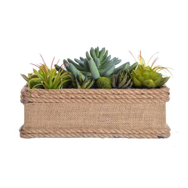 VINTAGE HOME 11.5 in. x 7 in. x 6.5 in. Tall Succulents in Hemp Rope Container