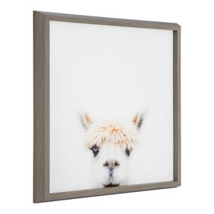 Blake "Animal Studio Alpaca Bangs" by Amy Peterson Art Studio Framed Printed Glass Wall Art 18 in. x 18 in.
