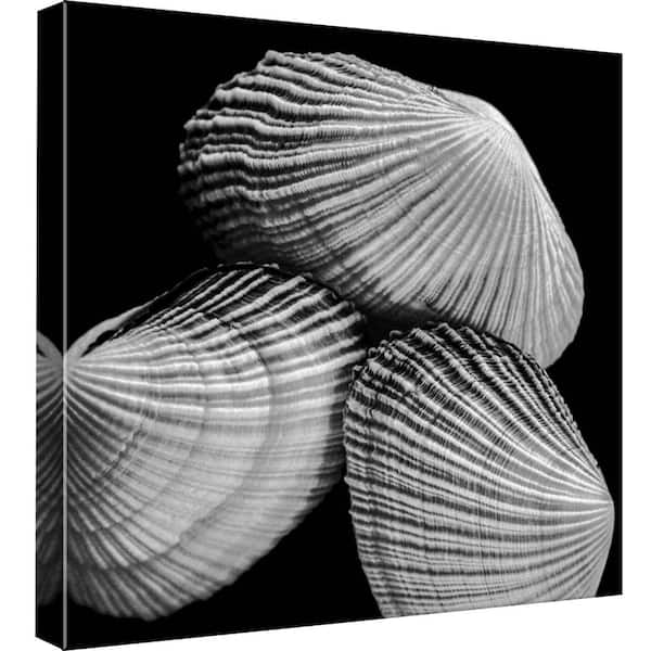 PTM Images 15 in. x 15 in. ''Seashell Gathering'' Printed Canvas Wall Art