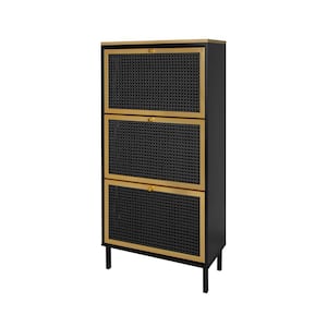 48.98 in. H x 23.63 in. W 3-Tier Black Metal Shoe Storage Cabinet