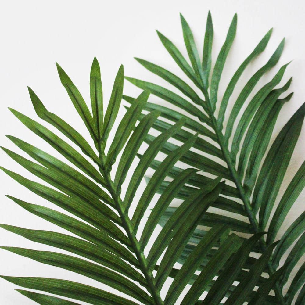 Nearly Natural 5-Foot Tall Artificial Paradise Palm Tree with Plastic Pot