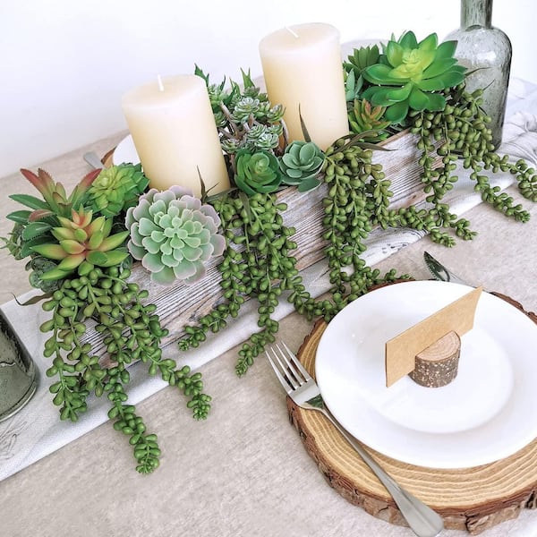 swiss cheese plant vine Swiss Cheese Monstera (Adansonii) – Hey Rooted