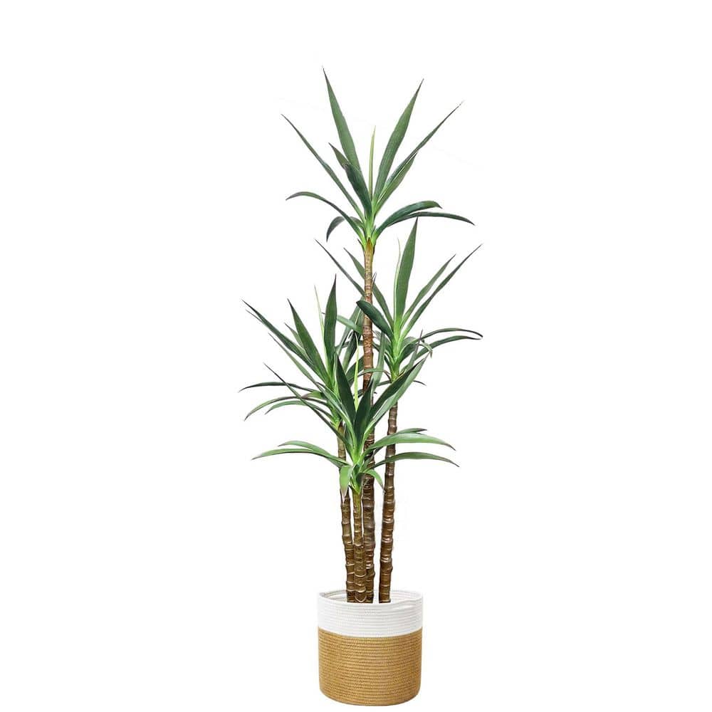 Artificial 4.8 ft. Artificial Agave Tree in Plastic Pot Realistic