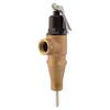 Cash Acme 3/4 in. Brass Male Inlet FVMX-1LS Temperature and Pressure ...