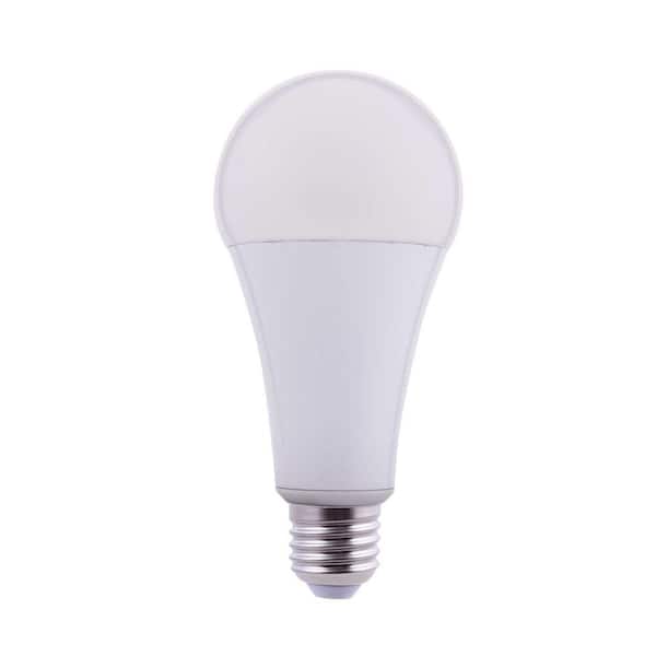 fe overliggende Forfatter EcoSmart 300-Watt Equivalent A23 Energy Star Dimmable LED Light Bulb  Daylight FG-04254 - The Home Depot