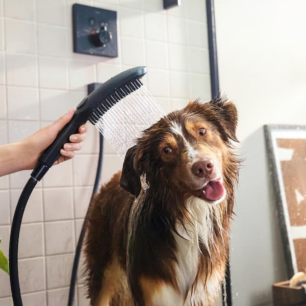 Hansgrohe Dog Shower 3-Spray Patterns with 1.75 GPM 5 in. Wall