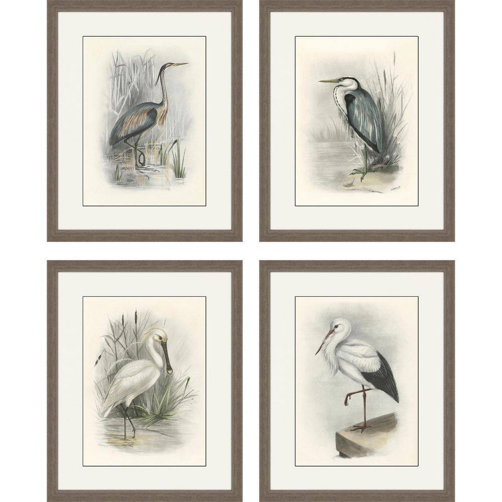 4 Piece Framed Graphic Print Animals 22.00 in. x 18.00 in.
