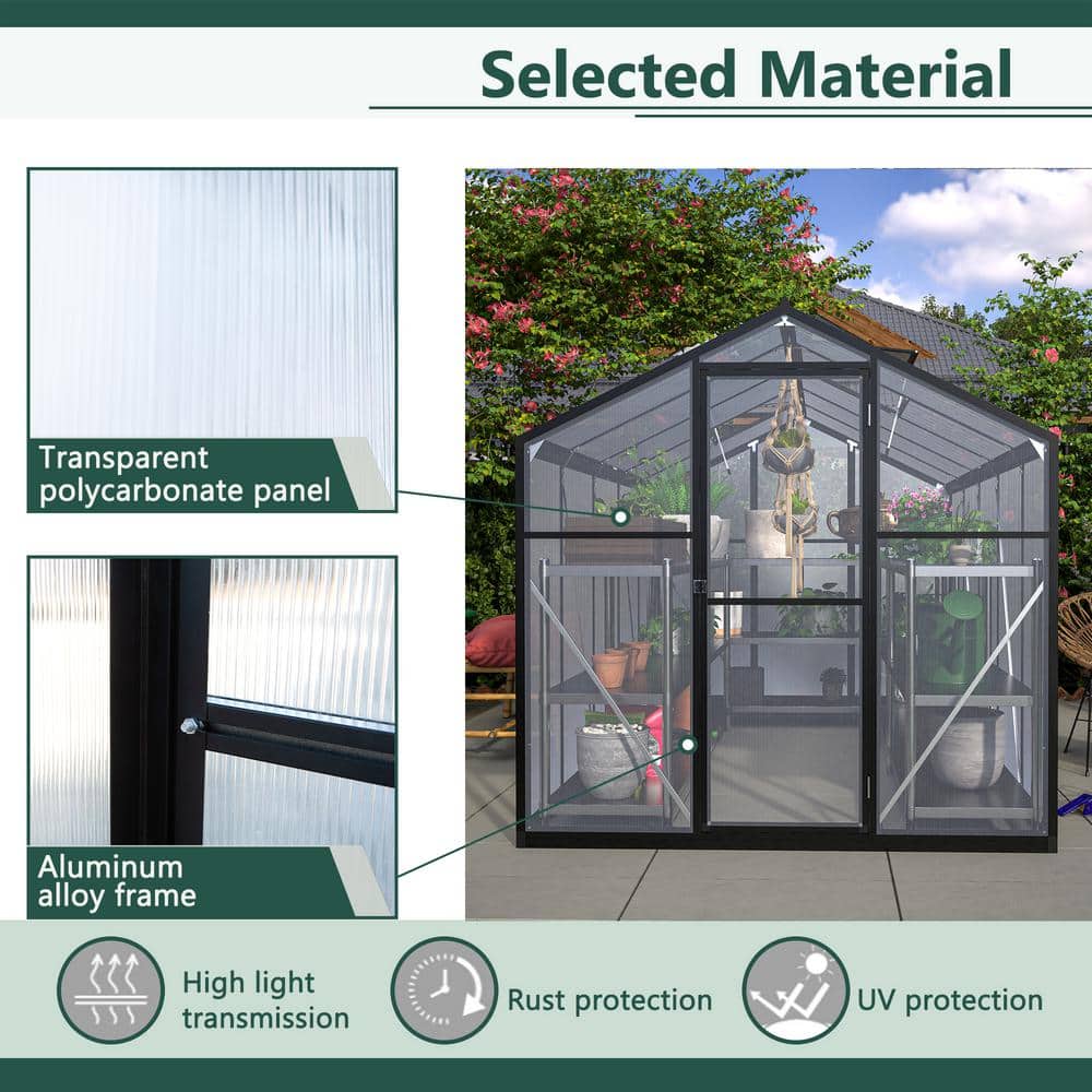 Black Aluminum Frame Walk-In Greenhouse with Polycarbonate Panels, 6' x 10'