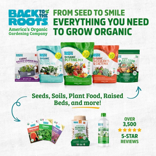 Back to the Roots Organic Sparky Marigold Seed (1-Pack