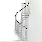 Enduro 63 in. Galvanized Steel Spiral Staircase Kit
