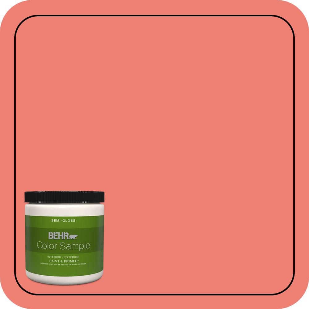 8 oz. #170B-5 Youthful Coral Semi-Gloss Interior/Exterior Paint & Primer Color Sample price history on PriceWatchPro