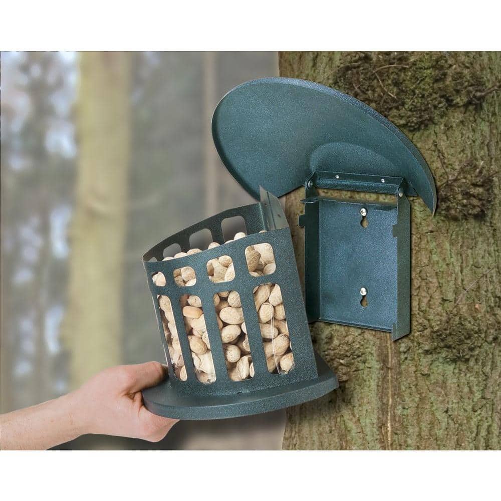 Green Powder-Coated Alloy Steel Hanging Squirrel Feeder