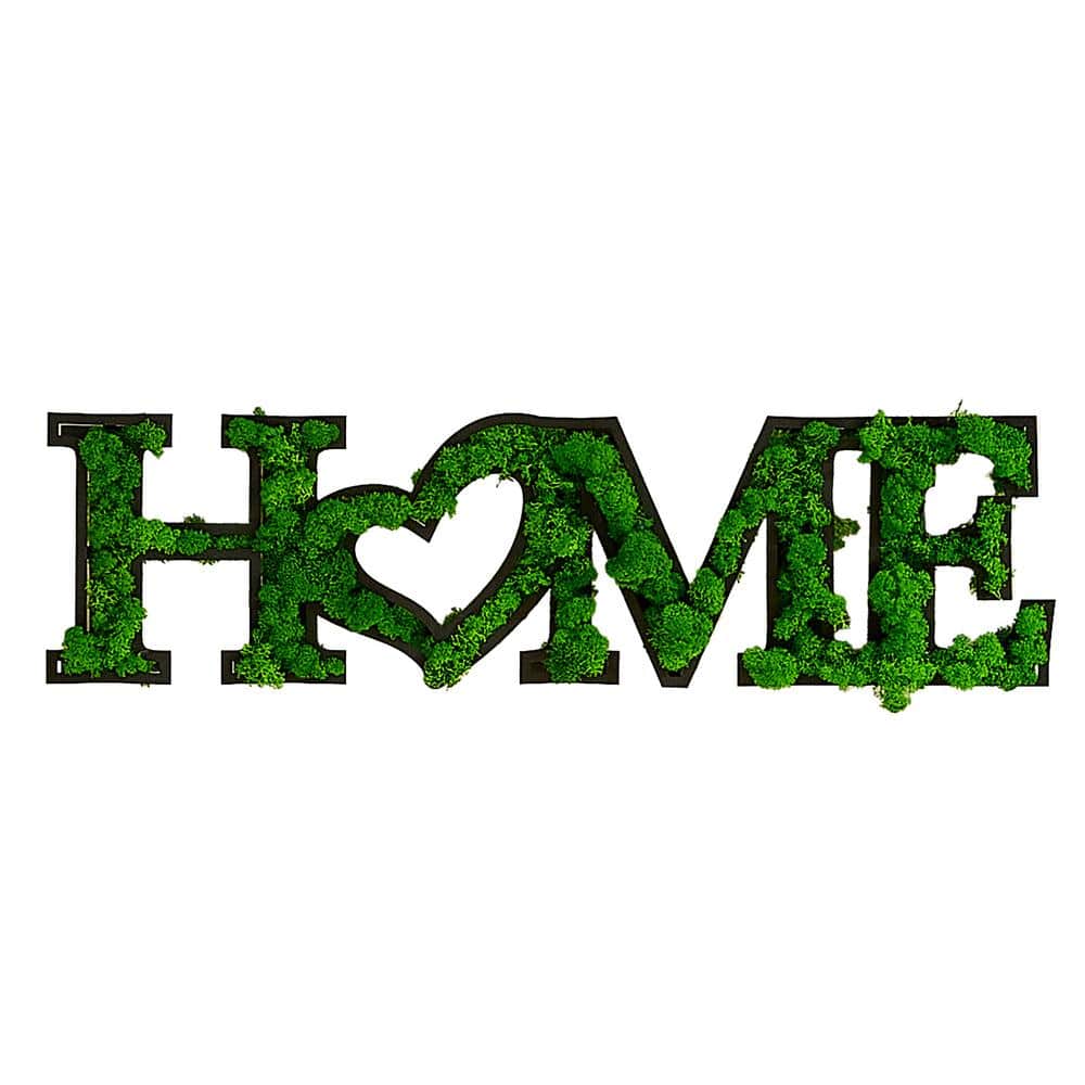 31.5 in. W x 1.58 in. D x 8.5 in. H Eco-Friendly HOME Letter Art Moss Wall 