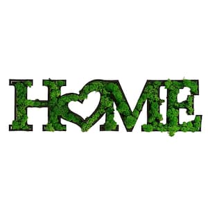 31.5 in. W x 1.58 in. D x 8.5 in. H Eco-Friendly HOME Letter Art Moss Wall Decor, HOME Word Decorative Sign, Green