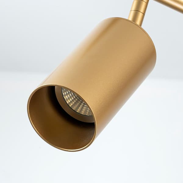 RRTYO Vortex 4 ft. 5-Light Gold Fixed Track Lighting Kit